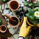 Gardening as Therapy: How Plants Heal Stress, Anxiety, and Mind