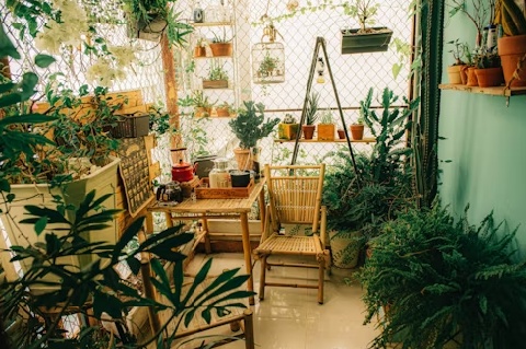 Indoor gardening therapy space for mindfulness and relaxation