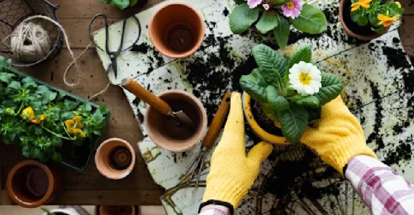 Gardening as Therapy for relexing body.