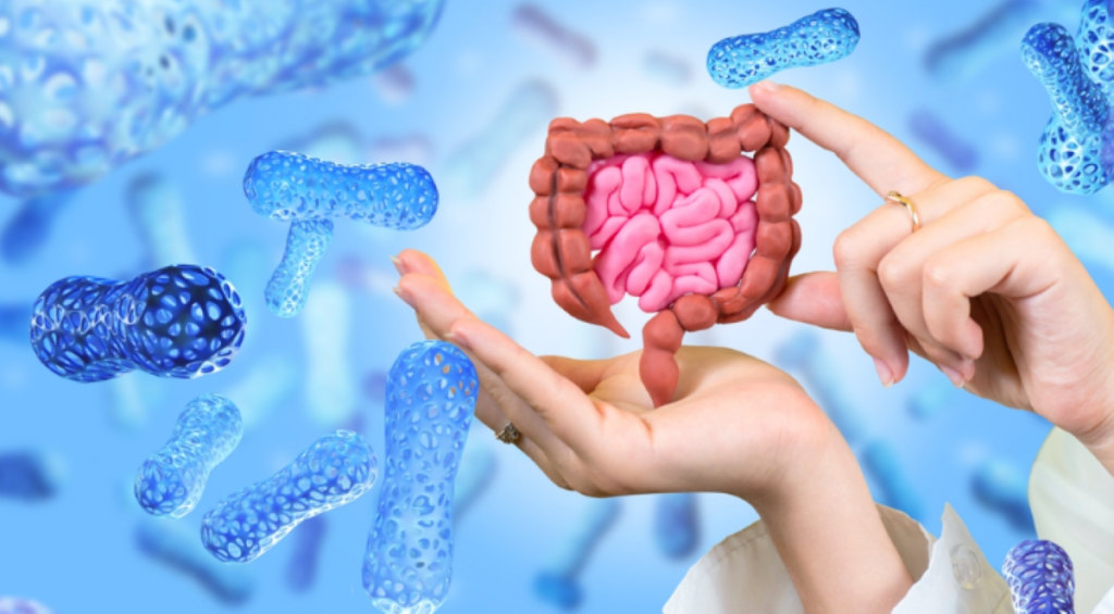 Improving Gut Health with Indian Diets