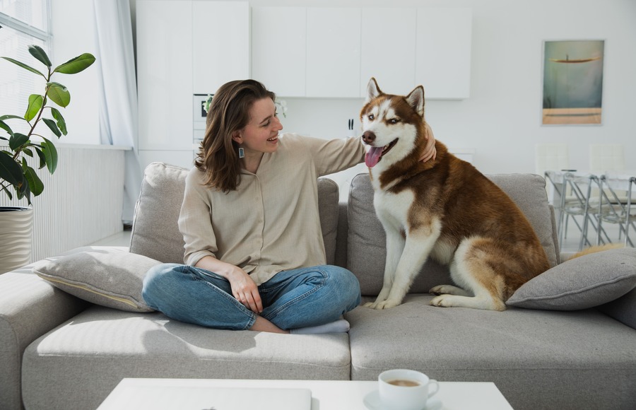 Pet-Friendly