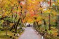 Autumn In Japan