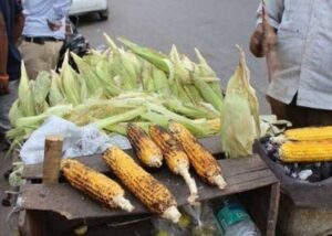 Popular Street Food Bhutta